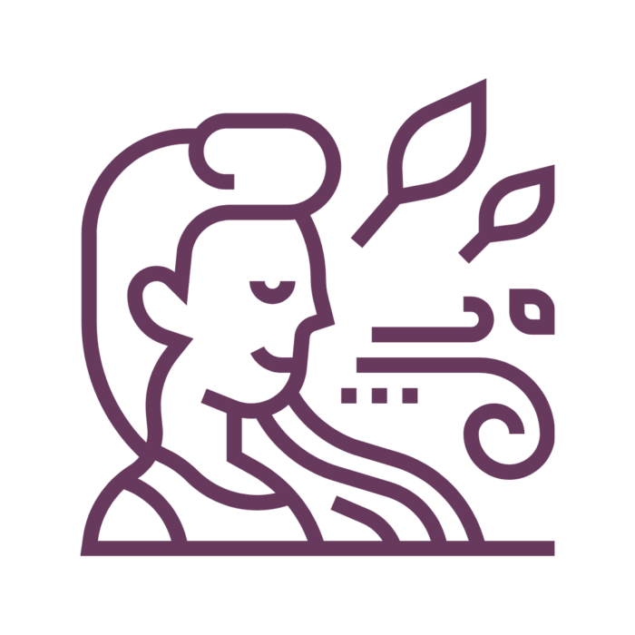 Icon of the wind blowing in a person's face